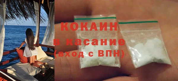 шишки Медногорск