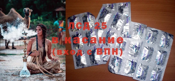 шишки Медногорск