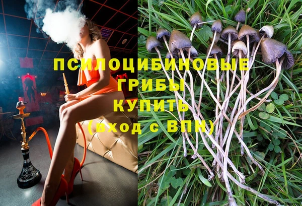 крисы Михайлов
