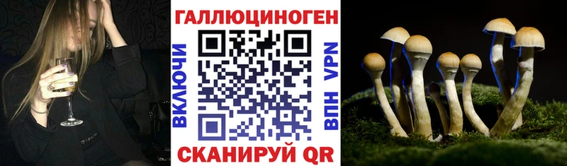 как найти закладки площадка как зайти Галлюциногенные грибы Magic Shrooms Нерчинск